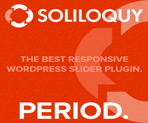 WP Soliloquy Discount